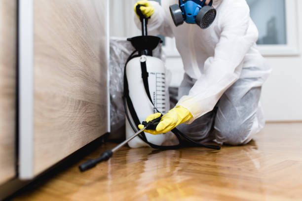Best Residential Pest Control  in New Baltimore, MI