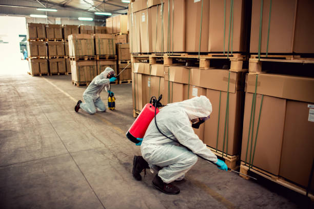 Best Pest Control Near Me in New Baltimore, MI