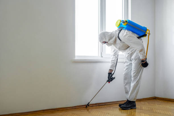 Best Emergency Pest Control  in New Baltimore, MI