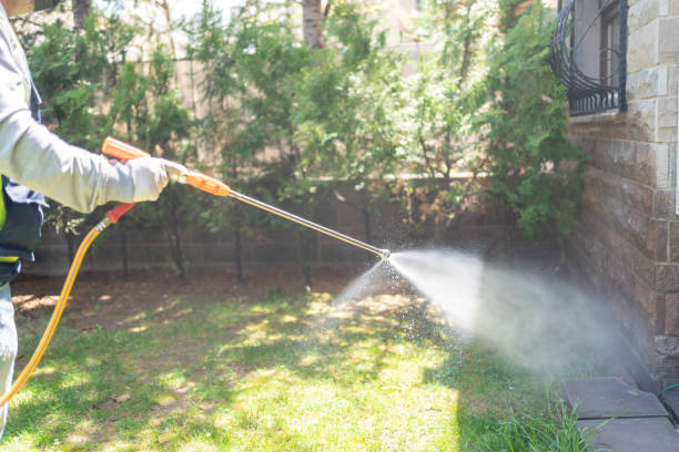 Best Termite Control Services  in New Baltimore, MI
