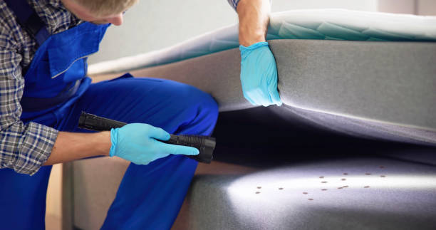 Best Pest Prevention Services  in New Baltimore, MI